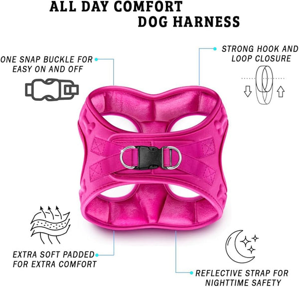 Comfort Fit Step-In Dog & Puppy Harness - Comfortable All Weather Dog Vest Harness: Adjustable, Soft Padded, Easy to Put-On for Small, Medium-Sized Dogs (Plush Both Side Velvet)3