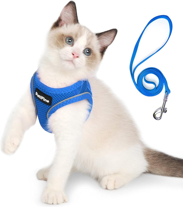 Small Dog Harness and Leash Set Breathable Step-In Puppy Cat Harness,Xs | Reflective for Safe Easy Walking,Soft Light Puppy Vest,Escape Proof,No Pull Harness for Dogs,All Weather Air Mesh Harness14