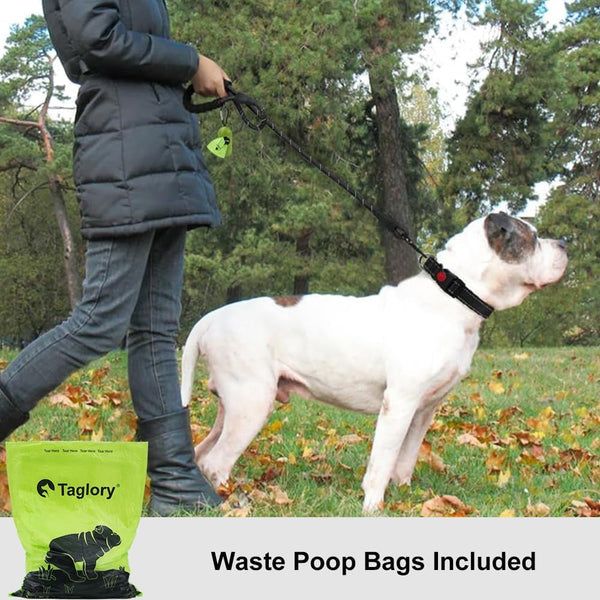Taglory Rope Dog Leash for Medium Large Dogs, 6 FT Padded Handle, Black | Climbing Rope for Strong Pullers, Reflective for Night Walks and Training, Comfortable Grip, Anti-Tangle Swivel Clip 1/2 Inch2