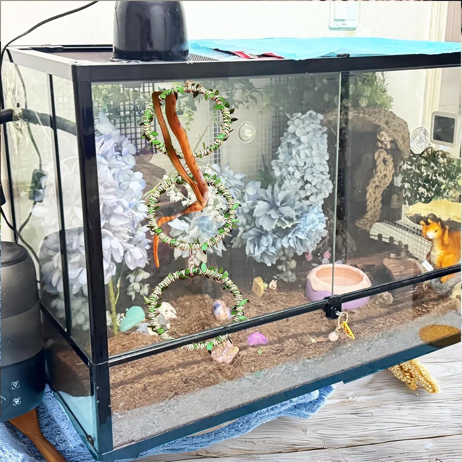 snake-climbing-rings-for-ball-python-enclosure-accessories-reptile-habitat-decor-climbing-branches-bedding-for-ball-python-for-corn-snake-enhancement-ring-toys