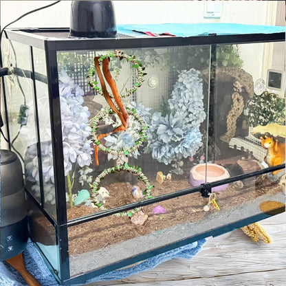 Snake Climbing Rings for Ball Python- Enclosure Accessories – Reptile Habitat Decor, Climbing Branches & Bedding for Ball Python, for Corn Snake Enhancement Ring Toys5