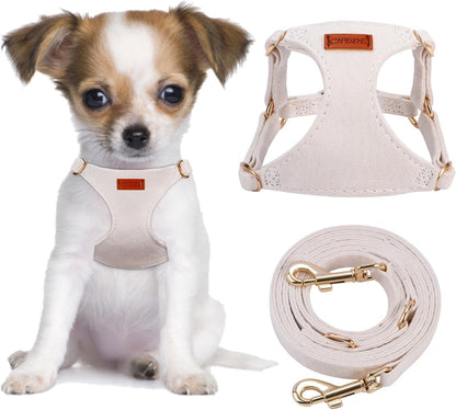 CHEDE No Pull Puppy Harness and Multifunction Dog Leash Set- 8 Colors Soft Adjustable No Choke Escape Proof Cute,Lightweight Pet Vest Harness for Small and Medium Dog…1