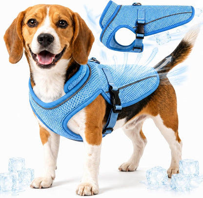 Dog Cooling Vest, Evaporative Cooling Dog Jacket with UV Protection, Lightweight Breathable Mesh Dog Cooling Shirt, Summer Heat Relief Gear with Adjustable Buckles for Hot Weather Walking & Hiking11