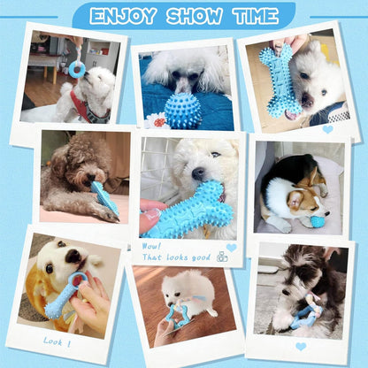 Petcare 6 Pack Puppy Chew Toys - Blue, Soft Rubber Rope & Bone Ball Teething Toys for Small Dogs & Puppies, Including Yorkie2