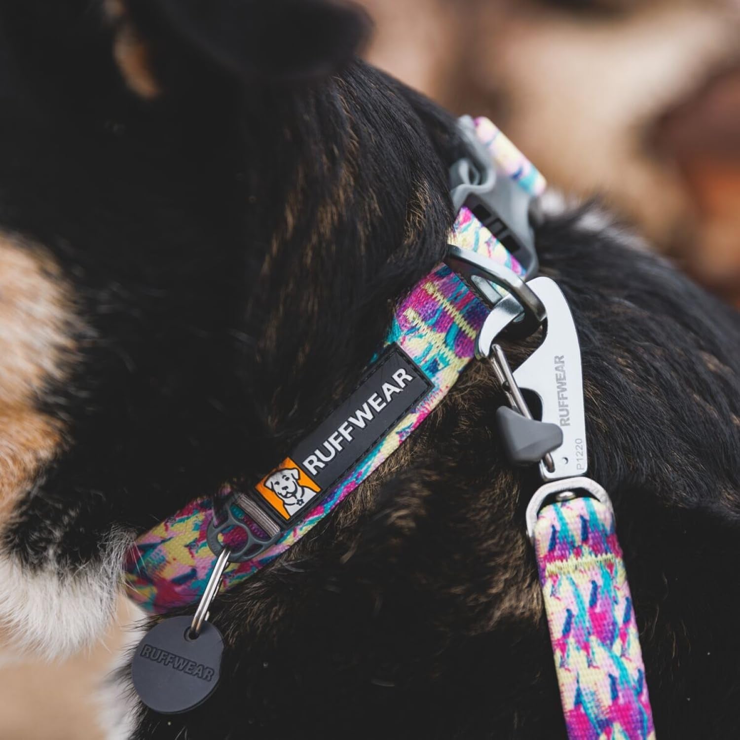 ruffwear-front-range-dog-collar-adjustable-tubelok-webbing-lightweight-side-release-buckle-aluminum-v-ring-durable-for-everyday-use-river-rock-green-14-20