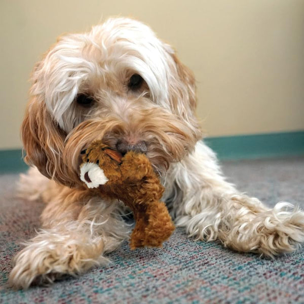 KONG Low Stuffing with Squeaker Dog Toy, X-Small, 3 Animals, Bear, Duck, Frog4