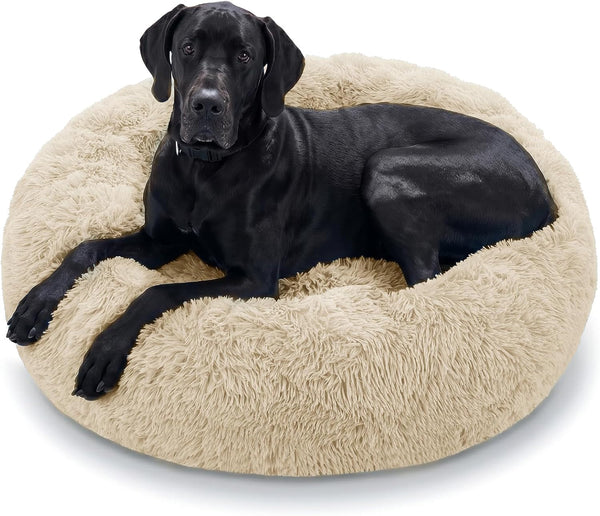 JOLLYVOGUE Small Dog Bed, Calming Soft Anti-Anxiety Donut Cat Bed, Washable round Fluffy Cushion for Small and Medium Pets (20")48