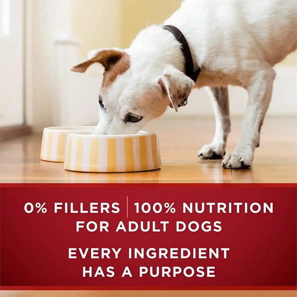 Purina ONE Wet Dog Food True Instinct Classic Ground Grain-Free Formula with Real Beef and Bison High Protein Dog Food - (Pack of 12) 13 Oz. Cans8