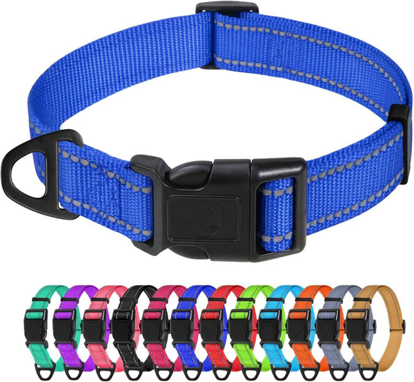 Tagme Small Dog Collar, Reflective Puppy Collar, Sky Blue, 3/8" Width | Lightweight, Nylon Collar for Puppies, Chihuahua, Yorkie & Teacup Dogs 5-15 Lbs, Reflective for Evening Walks, 12 Colors14