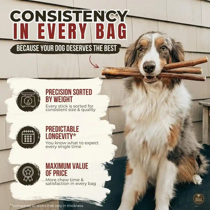 Bully Bunches Premium (6" Standard - 5 Pack) Odor-Free Bully Sticks for Small to Medium Dogs & Puppies - Consistently Sized, Long Lasting Chews for Oral Care - All Natural, 100% Beef Dog Treats7