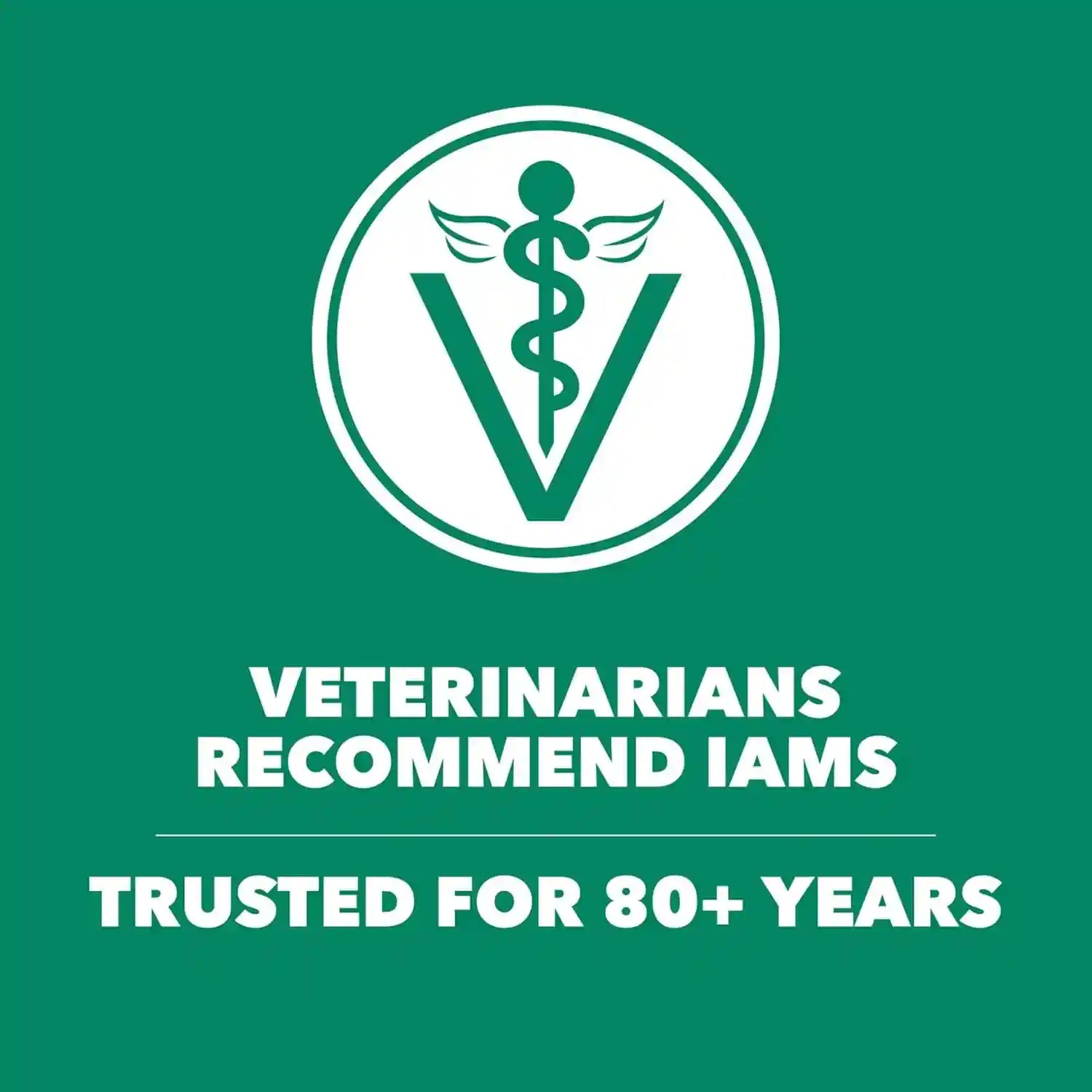 iams-proactive-health-healthy-senior-dry-cat-food-chicken-recipe-7-lb-real-chicken-antioxidants-for-immune-health-supports-vital-organs-bones-joints-natural-fiber-prebiotics-0-fillers