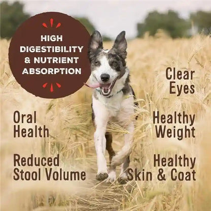 Primal Freeze Dried Dog Food Nuggets, Chicken; Complete Balanced Meal, Topper or Treat; Premium, Healthy, Grain Free, High Protein Raw Dog Food, 14 Oz | Complete & Balanced Nutrition, Meal, Topper or Treat, Grain-Free, High Protein, No Synthetic Vitamins & Minerals3