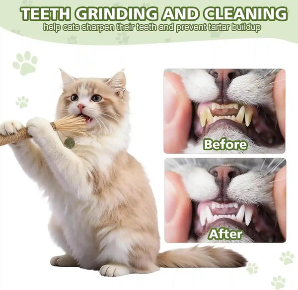 WOUSEDO 7 Pack Silvervine Sticks Cat Toy with Catnip & Matatabi Ball | Natural Chew Toys for Anxiety Relief & Dental Care, Teeth Cleaning Sticks for Indoor Cats & Kittens6