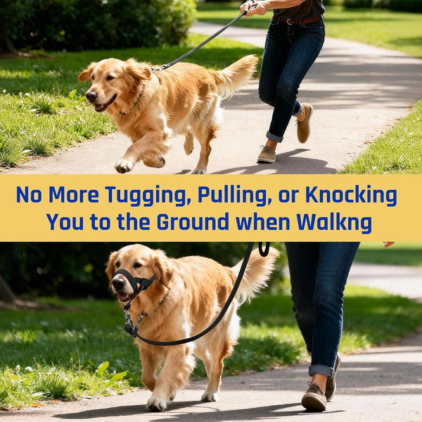 BARKLESS Dog Training Head Collar Stops Pulling and Improves Leash Walking | Anti-Pull Head Hatler with Adjustable Safety Strap, Soft Padded Muzzle Leash for Walking Training Leash Reactive Large Dogs3
