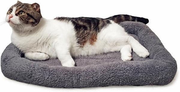 LESYPET Cat Bed for Indoor Cats, Soft Cat Cushion with Cat Pillow Around, Rectangle Kitten Pad Small Bed for Window Sill, 15'' X 10''8