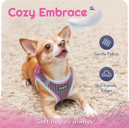 Eagloo Small Dog Harness and Leash Set, Step in Small Sized Puppy Pet Vest | Light, Soft, Breathable Air Mesh, Easy on and off with Hook & Loop, Reflective for Safe Walking, Pink, S4