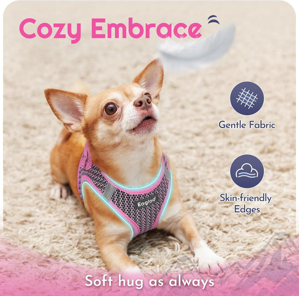 Eagloo Small Dog Harness and Leash Set, Step in Small Sized Puppy Pet Vest | Light, Soft, Breathable Air Mesh, Easy on and off with Hook & Loop, Reflective for Safe Walking, Pink, S4