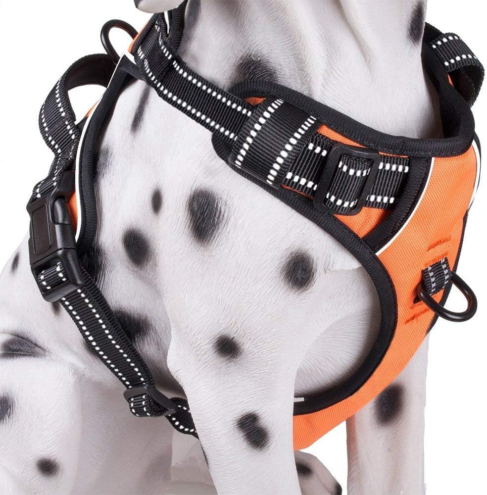 poypet-no-pull-dog-harness-reflective-comfortable-vest-harness-with-front-back-2-leash-attachments-and-easy-control-handle-adjustable-soft-padded-pet-vest-for-small-medium-large-dogs-mint-blue-m