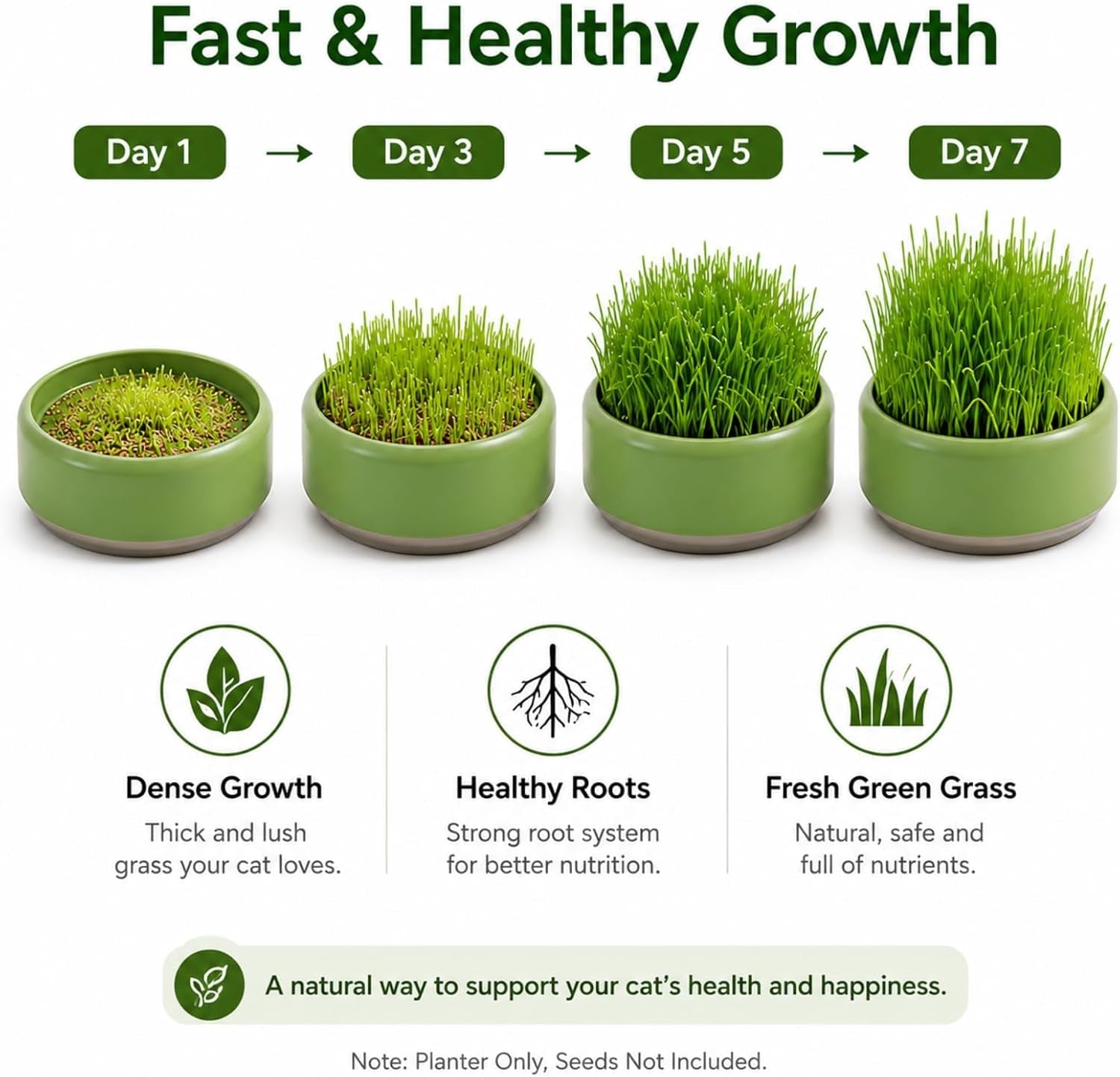 komorebi-cat-specific-reusable-hydroponic-herb-growing-box-set-easy-to-use-3-colour-seeds-not-included-green