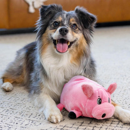 Outward Hound Fattiez Pig Plush Squeaky Dog Toy, Small5