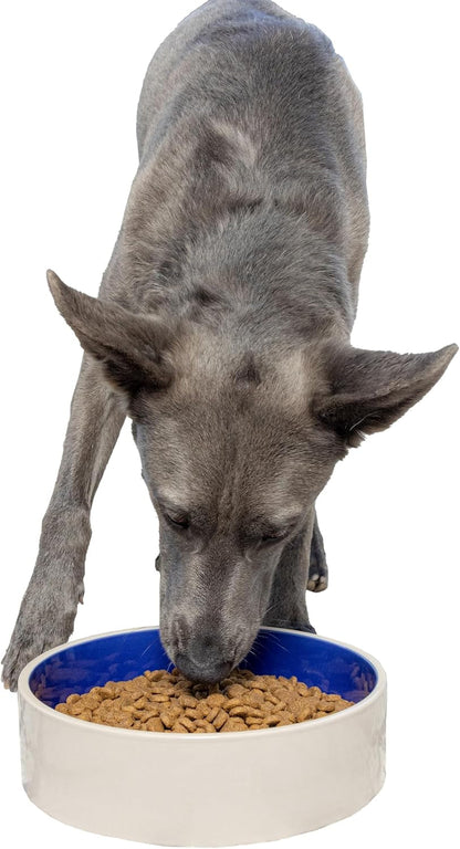 SPOT Ceramic Stoneware- Pet Bowl for Medium and Large Dogs, Classic Heavy Duty Non-Slip Ceramic Bowl for Food and Water - 7.5In Diameter10