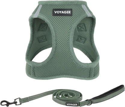 Best Pet Supplies Voyager Step-In Air All Weather Mesh Harness and Reflective Dog 5Ft Leash Combo with Neoprene Handle, for Small, Medium and Large Breed Puppies - Baby Blue, Small38