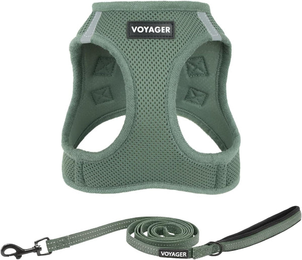 Best Pet Supplies Voyager Step-In Air All Weather Mesh Harness and Reflective Dog 5Ft Leash Combo with Neoprene Handle, for Small, Medium and Large Breed Puppies - Baby Blue, Small38