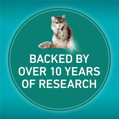 Purina ONE Liveclear Allergen-Reducing Cat Food Dry Formula with Real Chicken as the Number One Ingredient - 6.3 Lb. Bag7