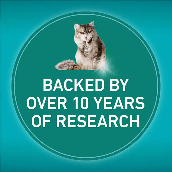 Purina ONE Liveclear Allergen-Reducing Cat Food Dry Formula with Real Chicken as the Number One Ingredient - 6.3 Lb. Bag7