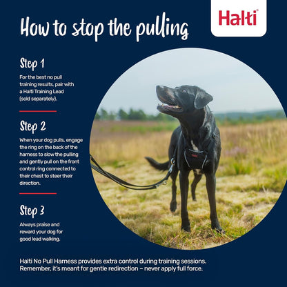 Halti No Pull Harness - Stop Your Dog Pulling on the Leash. Adjustable, Lightweight and Easy to Use. Reflective Dog Training Harness for Large Dogs (Size L, Black)5