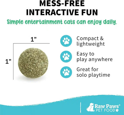Raw Paws Catnip Balls for Cats (6-Count) - Interactive Indoor Cat Toy | Natural Compressed Natural Catnip - Cat Lick Balls - Catnip Roller Balls - Play & Enrichment Toy - Fresh Dried - No Additives5