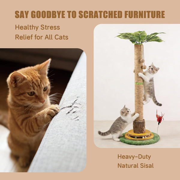 44" Tall Palm Tree Cat Scratching Post with Sisal Rope,Dangling Balls,Natural Healthy Catnip Balls,Cat Toy Mouse Hole,Interactive Wooden Ball & Cats Wand for Indoor Cats Adults and Kitten4