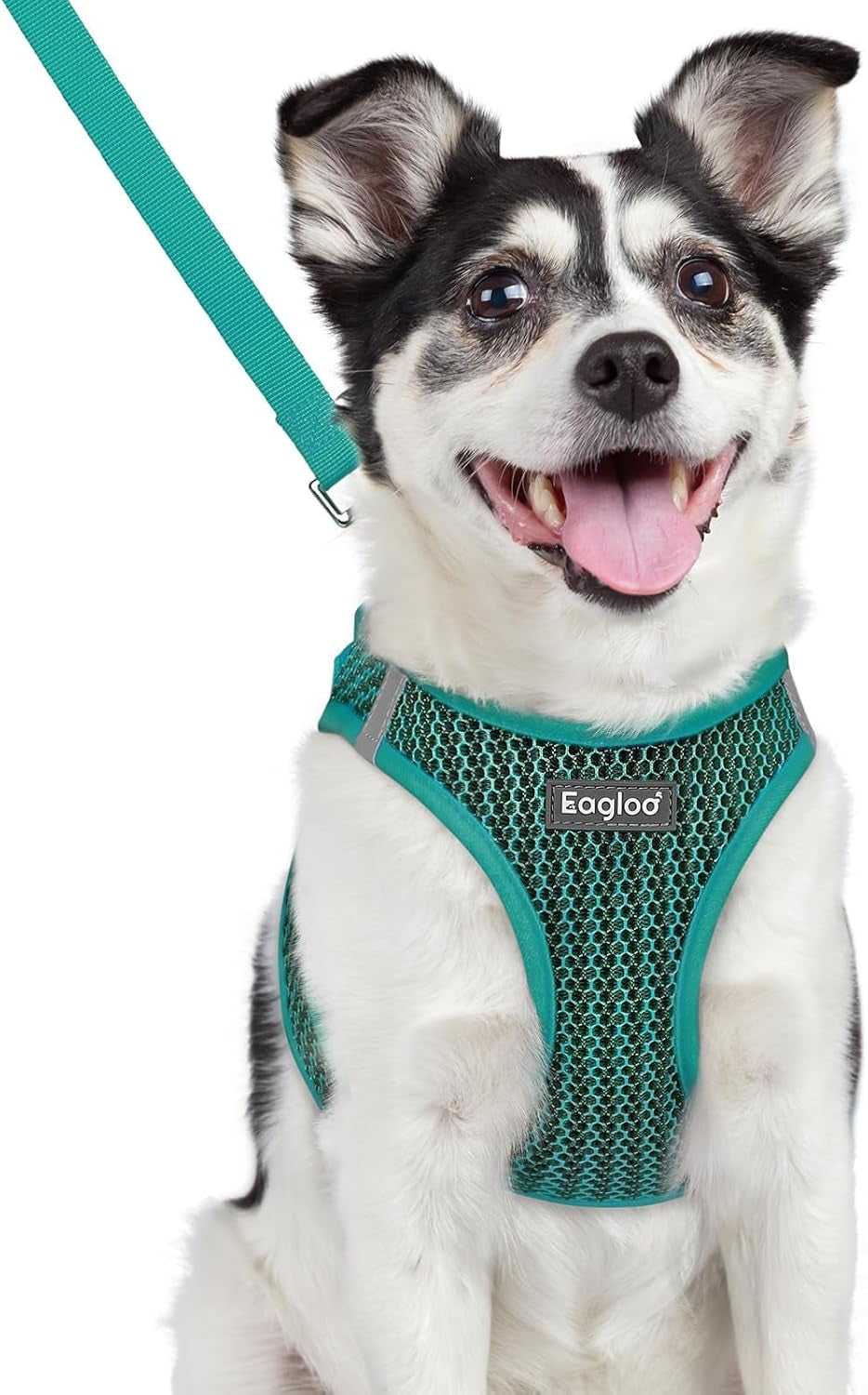 eagloo-small-dog-harness-and-leash-set-step-in-small-sized-puppy-pet-vest-light-soft-breathable-air-mesh-easy-on-and-off-with-hook-loop-reflective-for-safe-walking-pink-s