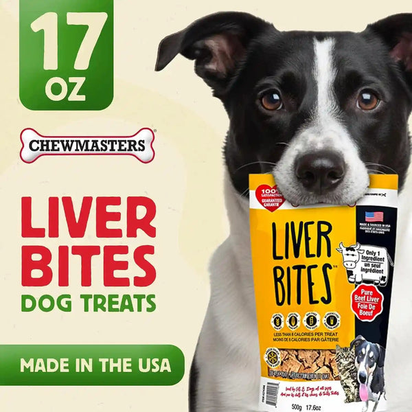 Chewmasters 100% Pure Beef Liver Bites 17.6Oz Freeze Dried Cat & Dog Treats | All Natural High Protein Training Treats, Grain Free, Healthy Real Meat Flavor for All Life Stages, No Additives, Made in USA7