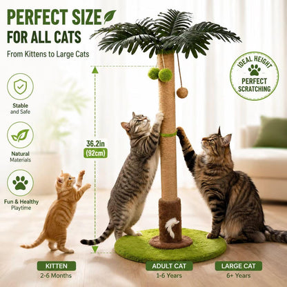 RPZ Cat Scratching Post, Sisal Scratcher with Toys for Indoor Cats | Protects Furniture While Satisfying Natural Scratching Instincts. Durable Sisal Post with Interactive Toys for Daily Play.2