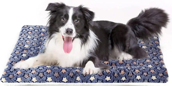 Mora Pets Dog Crate Pad - Ultra Soft Pet Bed with Cute Star Print, Washable Mat for Large Medium Small Dogs, Reversible Fleece Kennel Liner, Cat Bed 23 X 18 Inch Brown21