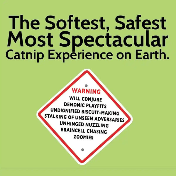 Catnip + Silvervine Safety-Cut Fine Cat Nip + Silver Vine 1.5 Cup (1.8 Oz) | VEGAN Ultra Potent Bulk Rescue Pack - North American - Go Ahead, Create a Monster! Human Food Grade FIEND3