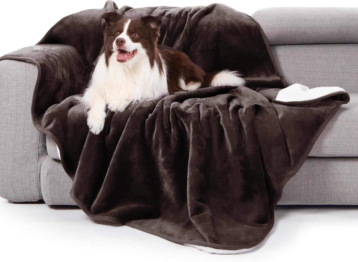 gogobunny-waterproof-bed-blanket-reversible-sherpa-fleece-throw-blanket-for-dog-puppy-cat-furniture-cover-protects-bed-couch-sofa-from-liquid-pee-and-pet-fur-dark-purple-50x60-inches