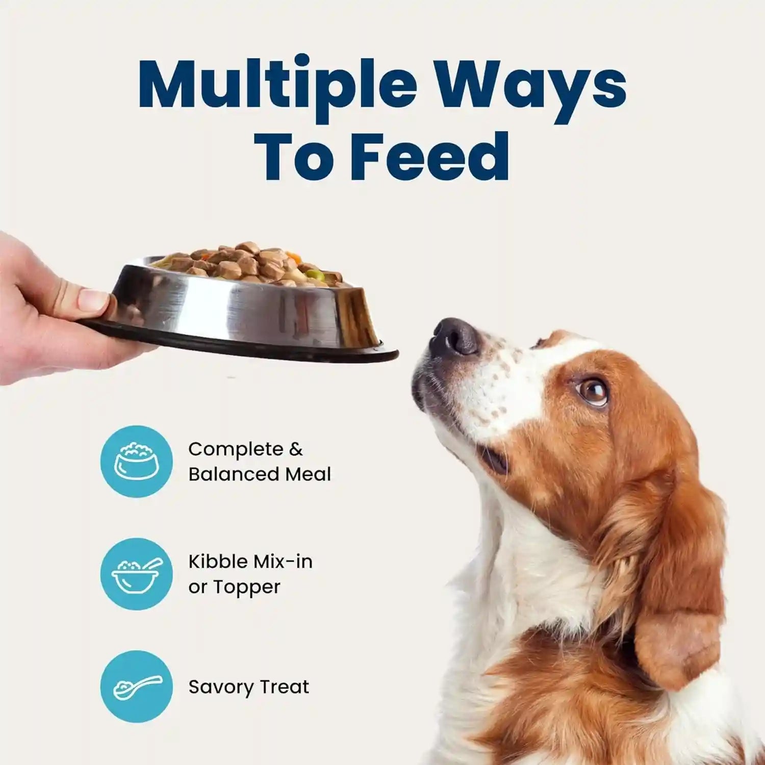 blue-buffalo-blue-s-stew-variety-pack-hearty-beef-country-chicken-stew-natural-grain-free-wet-dog-food-with-real-meat-in-thick-savory-gravy-natural-ingredients-12-5-oz-cans-6-count