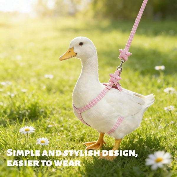 2Pcs Adjustable Chicken Harness and Leash Set, Duck Harness, Blue, Pink | Comfortable Duck Harness and Leash for Real Ducks, Upgraded Easy to Wear Chicken Vest, Goose Traction Rope with Cute Stars3
