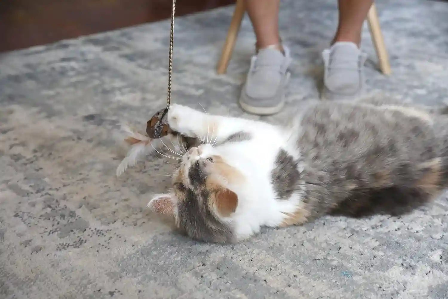 ourpets-play-n-squeak-teathered-feathered-play-wand-cat-toy-for-all-breed-sizes
