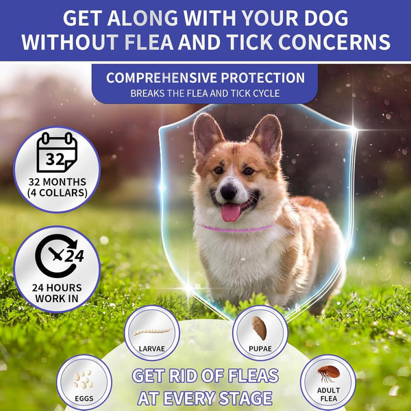 YOTANGO Flea Collar for Dogs, Dog Flea and Tick Collar, 4 Pack, 32 Months | Waterproof, Adjustable, and Lightweight for Dogs and Puppies. Four Collars Offer 32 Months and Start within 24 Hours.3