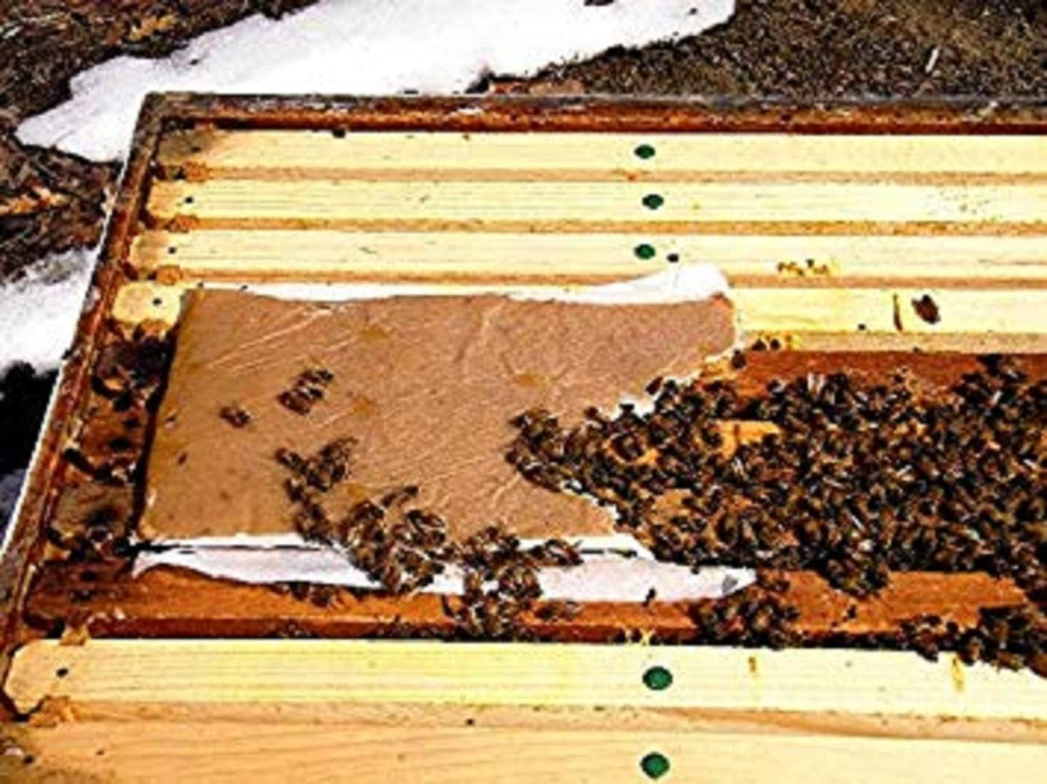 village-gift-importers-pollen-patty-high-protein-formula-supplementary-feed-for-all-levels-of-beekeepers