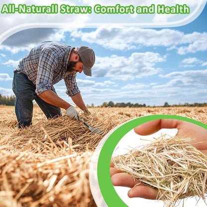 MAQIHAN Natural Straw for Small Animal Bedding - 5.92 Oz Dry Garden Straw | Animal Hay Bedding and Nest Material for Sleeping, Chewing and Toys for Rabbits, Bed Mat2