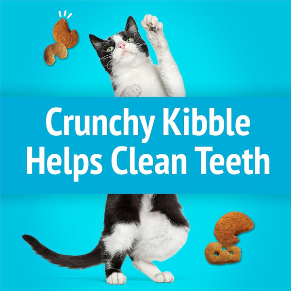 Purina Friskies Cat Treats, Party Mix Lobster & Mac 'N' Cheese Flavors - (Pack of 6) 6 Oz. Pouches6