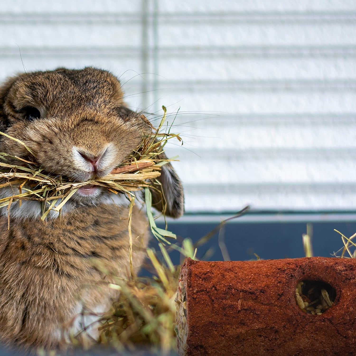 wild-harvest-stuffed-logz-1-count-edible-treat-for-rabbits-guinea-pigs-and-chinchillas-artificial-peanut-butter-flavor