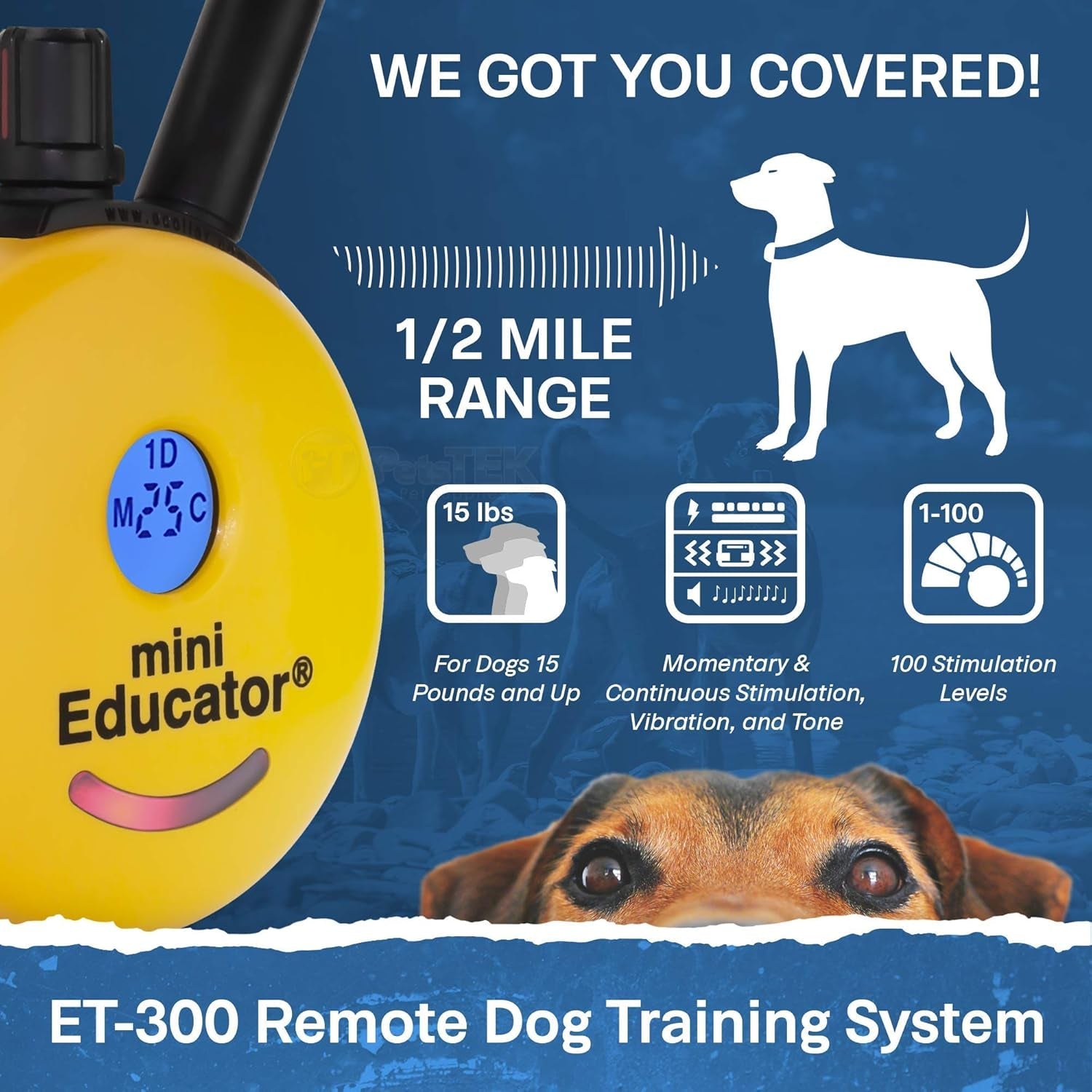 educator-et-300-mini-e-collar-for-dog-training-with-remote-1-2-mile-range-waterproof-100-blunt-stimulation-levels-tone-or-vibration-mode-night-light-tracking-for-small-medium-large-dogs