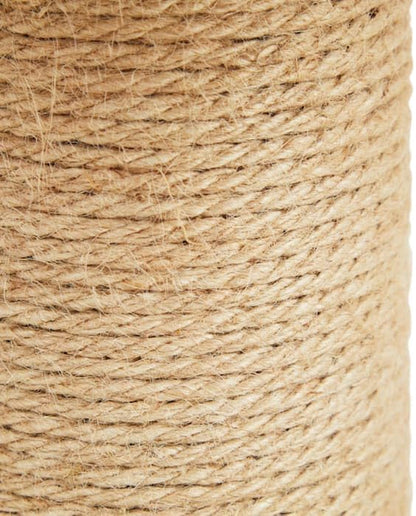Everyyay by Petco Toadstool Scratch Post for Cats7