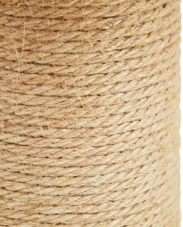 Everyyay by Petco Toadstool Scratch Post for Cats7