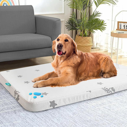 Waterproof Dog Bed for Large/Medium Dog, Memory Foam Dog Beds & Furniture | 38” X 26" X 1.5" for Large Sized Dogs with Anti-Slip & Washable Removable Cover, Soft Flannel Top Pet Beds, Grey9